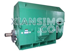 YJTFKK560-12-6KVYXKK(2极)高效高压电机技术参数